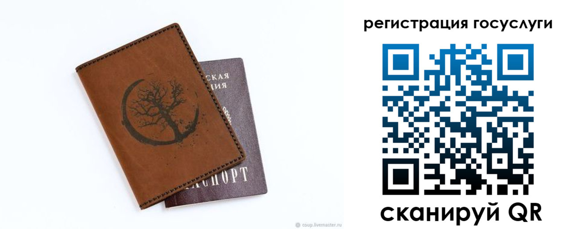 прописка для школы в Ипатово